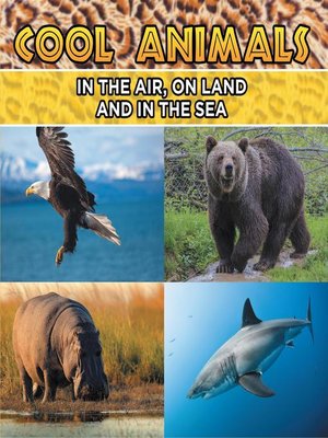 cover image of Cool Animals--In the Air, On Land and In the Sea